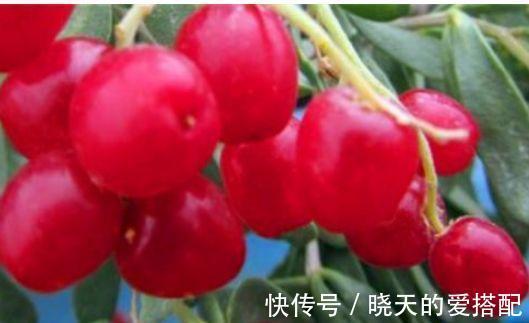 强壮|想长寿先养肝,常吃3物,促进排毒,滋润肌肤,身体更强壮