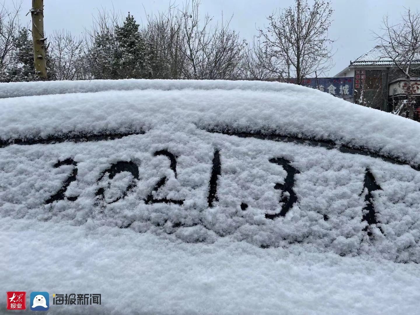 樱桃花|春雪润淄博，仙境落人间，一起赏雪吧！