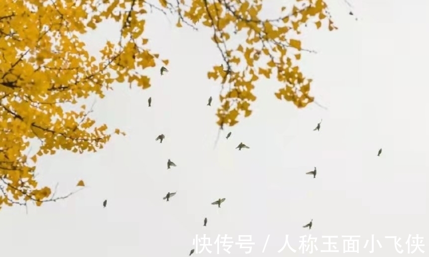 李清照$诗词:细品生活多滋味,此后快活似神仙