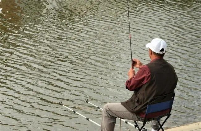 冬钓只会选深水？揭秘冬季最出鱼的钓位！