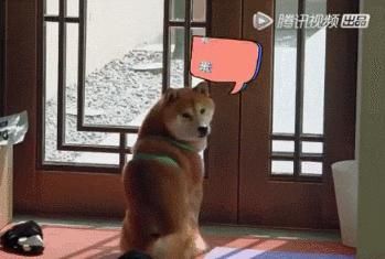 公开互撕!节目上都不装了?