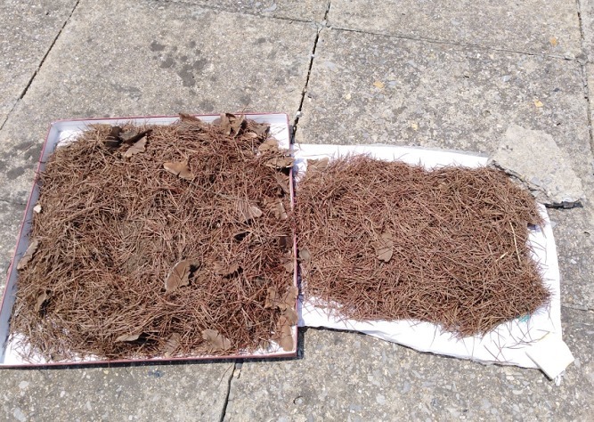 山上一种土,是养花“黄金土”,啥花吃了都疯长!