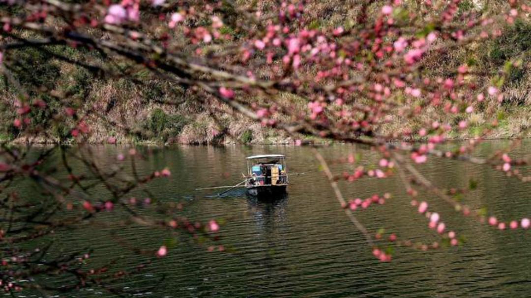 元好问|元好问一首高水平之作,每一句都另有所指,读来令人拍案叫绝