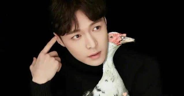 极挑 张艺兴:他怎么一上真人秀就圈粉?