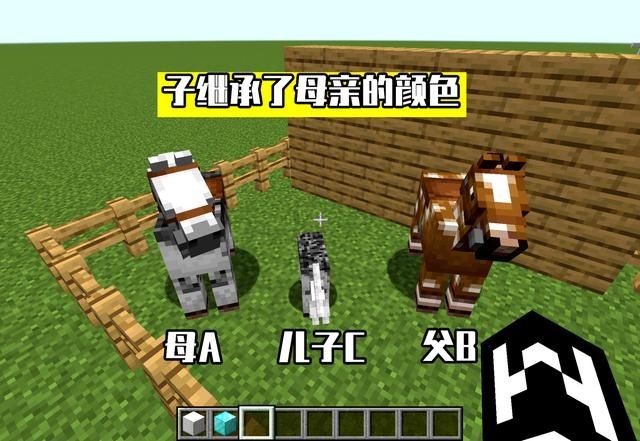 我的世界 马的遗传基因学 如何繁殖出一匹 日行千里 的飞马 全网搜