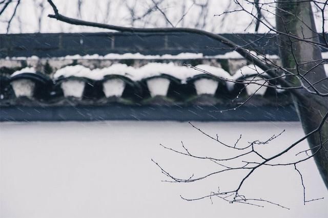 小雪|等一场雪，等一人归，邂逅最美冬季