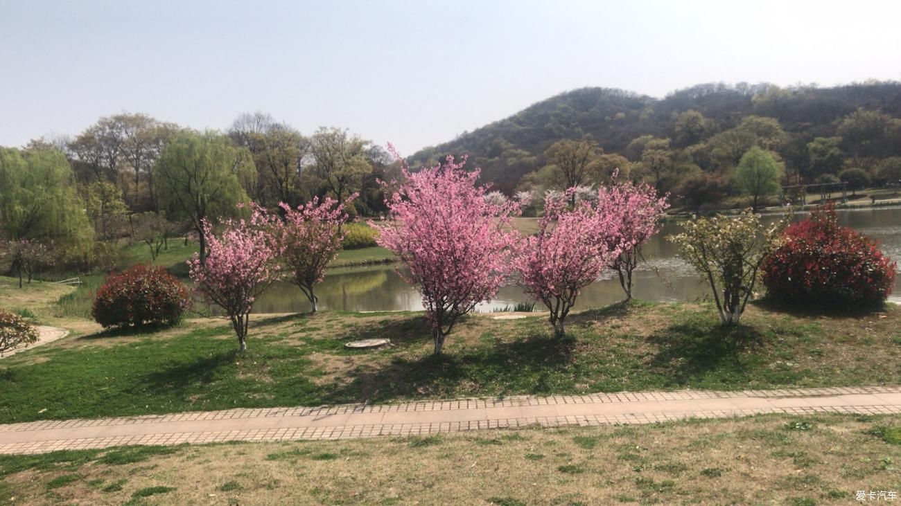 春意盎然心情爽，谈天说地踏青去