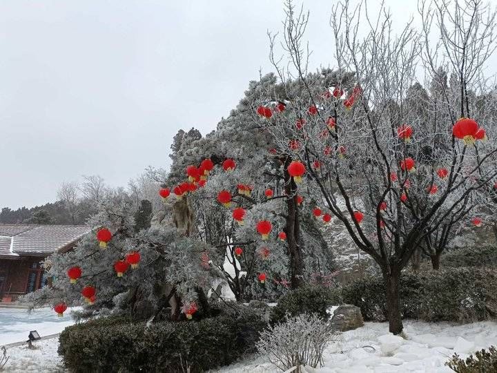 钟福生|宛若仙境！跑马岭景区出现雾凇景观