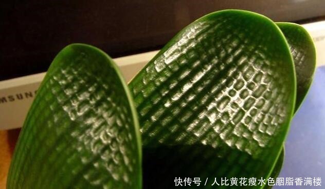 养君子兰,两种“黄水”多喂喂,叶片碧绿,一年能开上好几趟花!