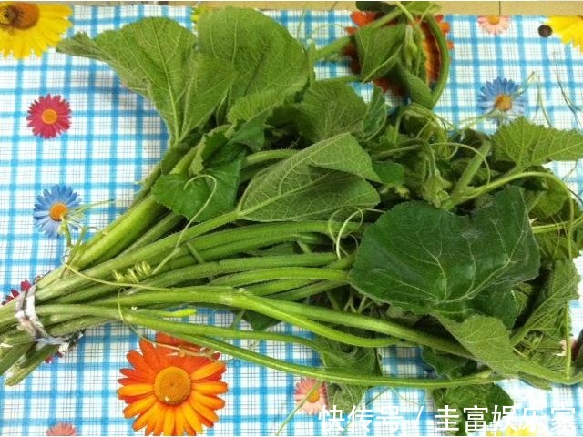 功效|一瓜藤,农村人吃厌了,城里人拼命吃,能治胃痛、去结石、降血压