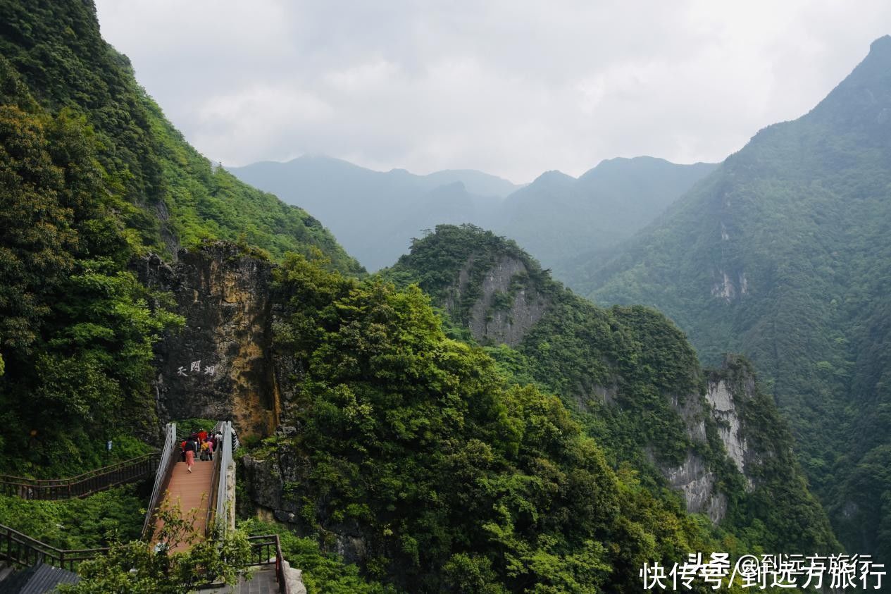 武陵山国家森林公园|打卡江城涪陵，玩转绝美山水秘境，有这篇攻略GO了