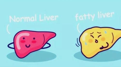 肝细胞|脂肪肝可以吃橘子？医生建议：想要稳定肝脏，3种水果需常吃