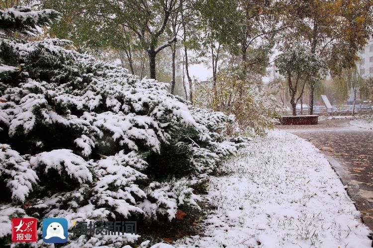 雪景|立冬至瑞雪来 滨州各县市区换素颜