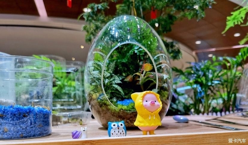 冬天的峨眉一个童话般的冰雪世界，真是美不胜收