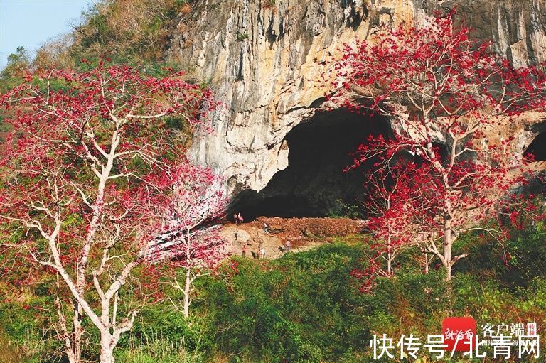 洞穴|换个姿势“洞悉”琼岛 海南这些洞穴暗藏乾坤