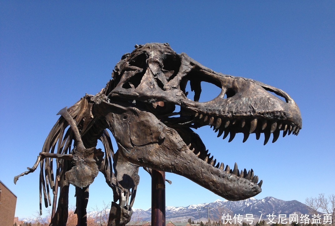 我們仍然不知道恐龍統治為什么會結束