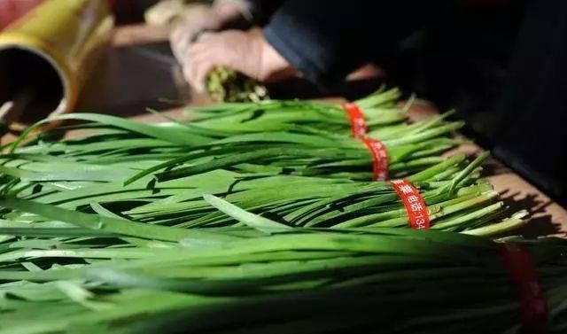 分辨|为什么头茬韭菜不能吃好多人不懂,挑选记住几点,一眼分辨好坏