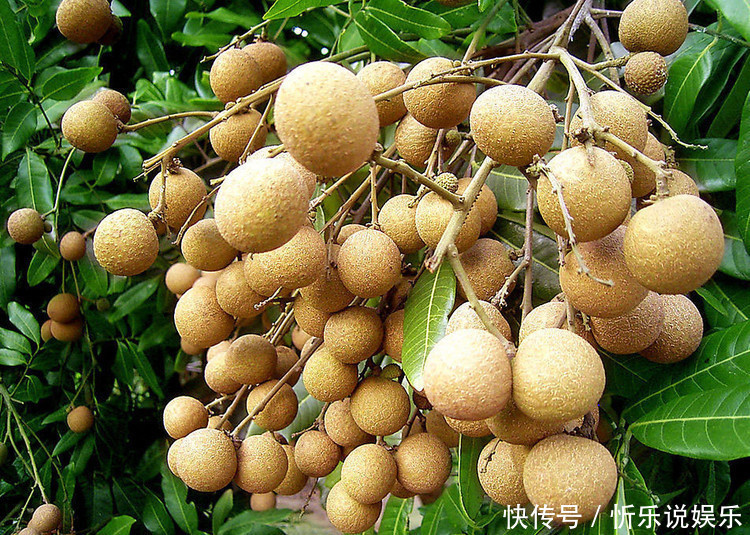 女人过了40岁，再节俭也要吃下面的“土燕窝”，健康苗条养颜！