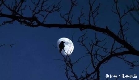 落花&落花人独立,微雨燕双飞——十二句唯美的古诗词佳句