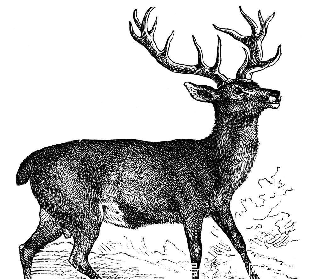 李世民@史书上的不靠谱:唐朝时的奇人张果,八仙之一张果老的故事