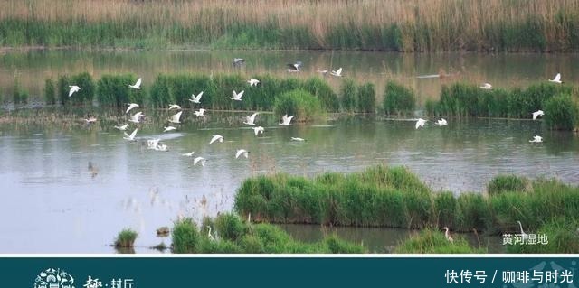 舌尖上的河南之新乡封丘来了!