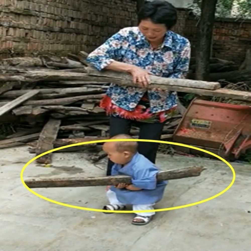 小家伙|一岁宝宝帮奶奶搬木头,接下来发生的一幕,把奶奶逗的哈哈大笑