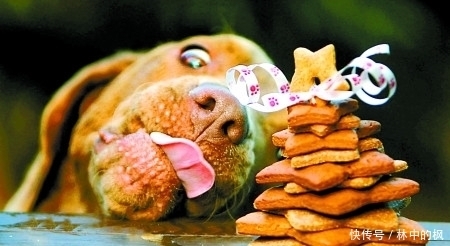 来看|快来看啊,我抓到了一群吃货!真是吃出新境界!