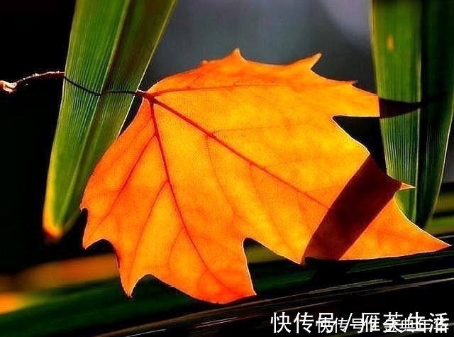 老无所依!人到六十,我们要做好老无所依的准备,原因很现实,写完流泪了