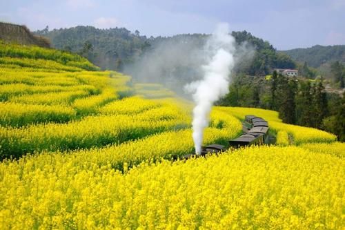 中年|适合女人去旅游的这几个地方，你去过吗？争取每年去一个都很美好~