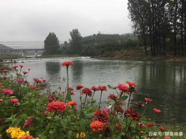 秋霜@七律(原创)但爱秋霜梳彩叶,休缘得意再欢歌