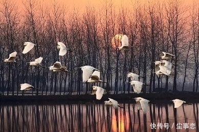 登高揽胜@黄庭坚登高揽胜,这首词充满禅意,令人置身于澄静淡远的境界