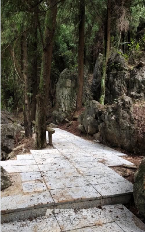 特意去乡下爬山 结果看到这样的登山道想掉头！山野小路该不该铺成这样？