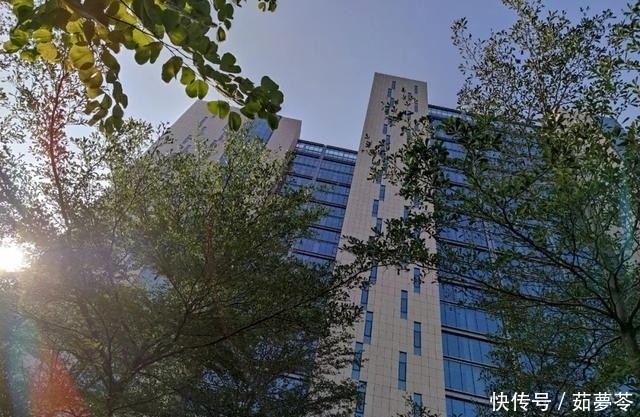 到底|Redmi Note 9 Pro 上手:这剑客到底多能打?