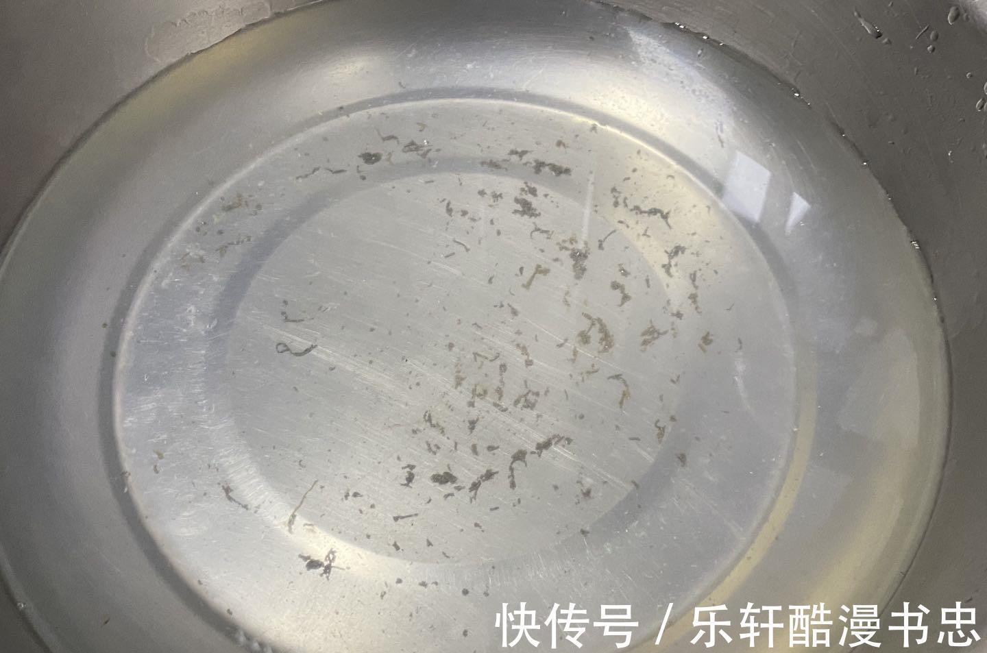 爽口|夏天，少买鸡鸭肉多吃它，6元一斤，炒一炒，香辣爽口低脂又补钙