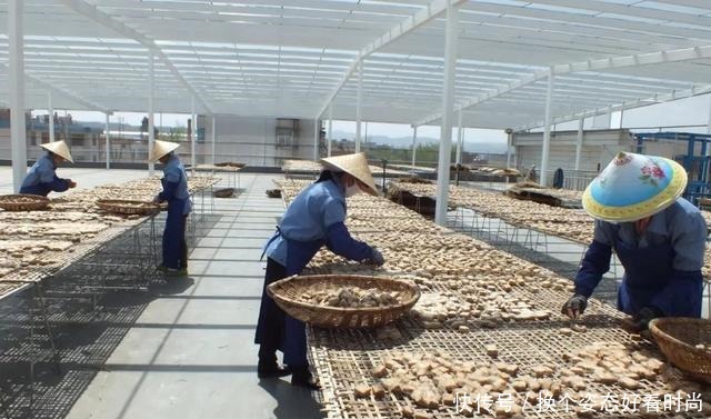  中国的四大“腐乳”，连王致和豆腐乳都要靠边站，你知道哪一种