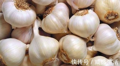 上皮细胞|有胃病的人,记得多吃这几种食物,消炎灭菌,胃癌都不敢来