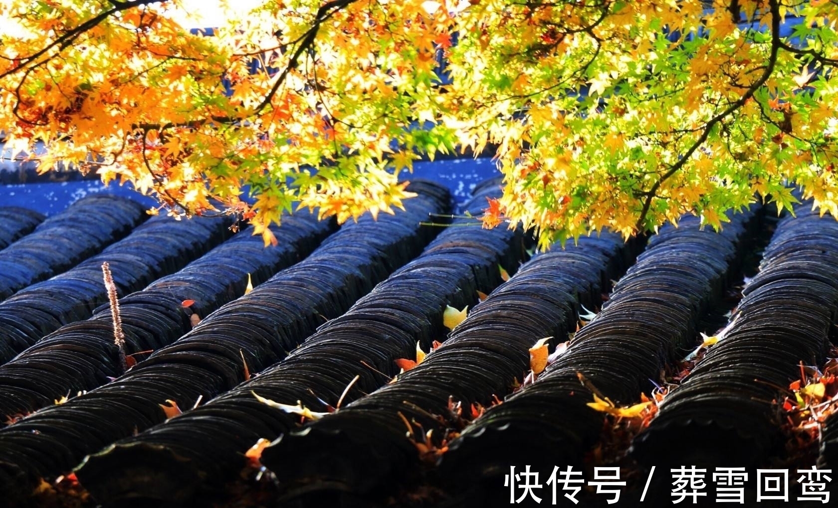 胜春朝#孟浩然28字唐诗记载初秋之景,成就唐诗当中最诗意的秋色