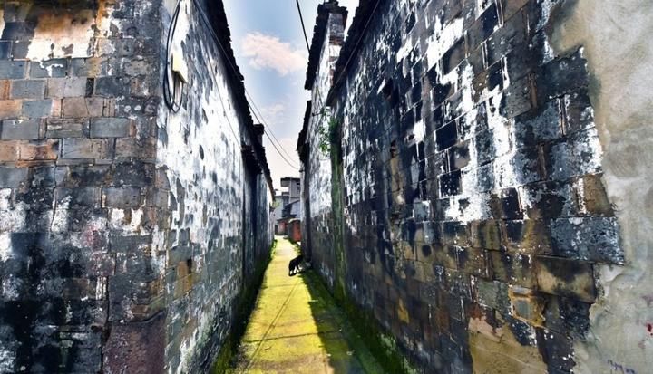  重点|划重点！常山这个村被评为浙江省第九批历史文化（传统）村落保护利用重点村