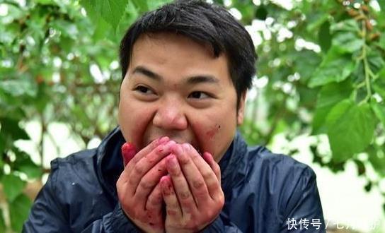 经常吃“桑葚”的人,身体会有什么变化呢?你可能还不清楚!