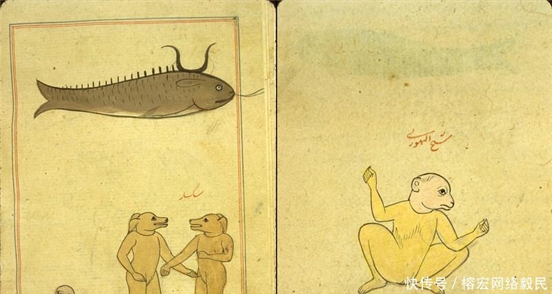 古波斯|古波斯《山海经》,其中描绘的生物或许来自外太空