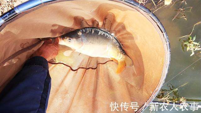 广东一男子钓鱼瘾犯了,寒冷的冬日里夜钓,一不小心就实现了爆护