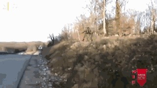 |搞笑GIF:人生难免磕磕碰碰,尤其是过河的时候