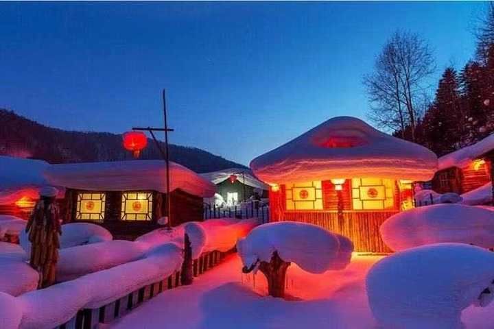 雪景|东北雪景……