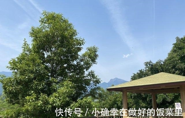 小熊|声优夜道雪COS小熊 也不能说很相似只能说是完全一致