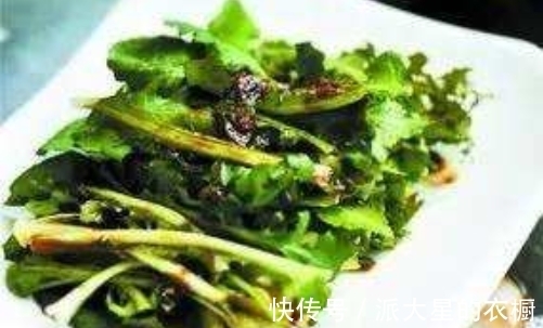 杂草|一种价值珍贵的野菜，一直被当成杂草，现在抢着种