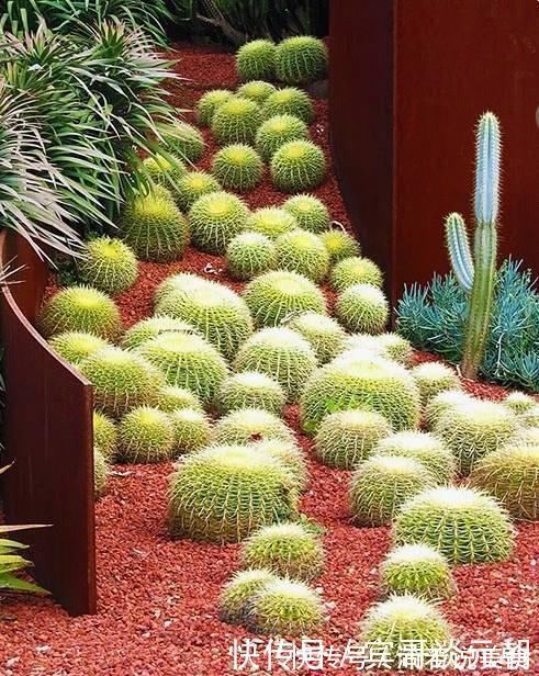 郁金香|7个绝美花园,个个美炸了天,等有钱了我也要建一个