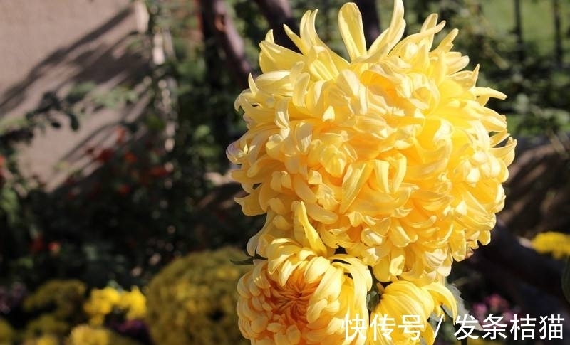 辛酸&明代宰相的一首古风诗,道尽当老师的万般辛酸,令人深有共鸣