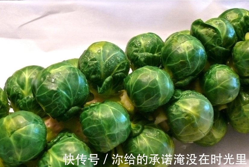 卷心菜|日本田间发现隐秘“小叶球”,能抗癌防老,价格不菲,市面上罕见