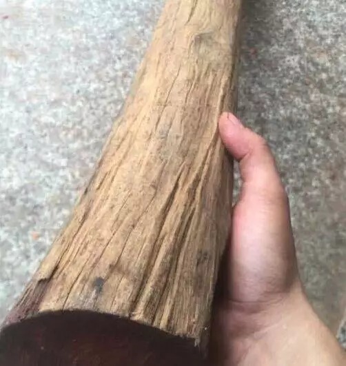 紫檀木料|分享小叶紫檀笔筒掏空技术