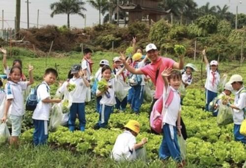 验农家生活|男童摘桑葚迷路，搞了一张“桑葚面膜”回来，妈妈：差点没认出来